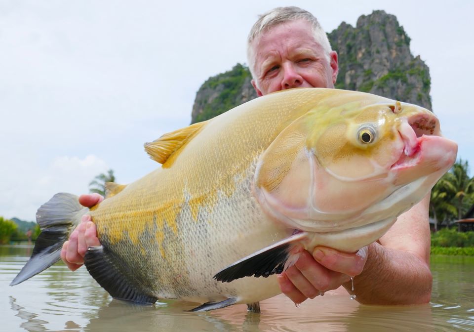 Fishing in Thailand - November 2019 2 Fishing in Thailand - November 2019 2