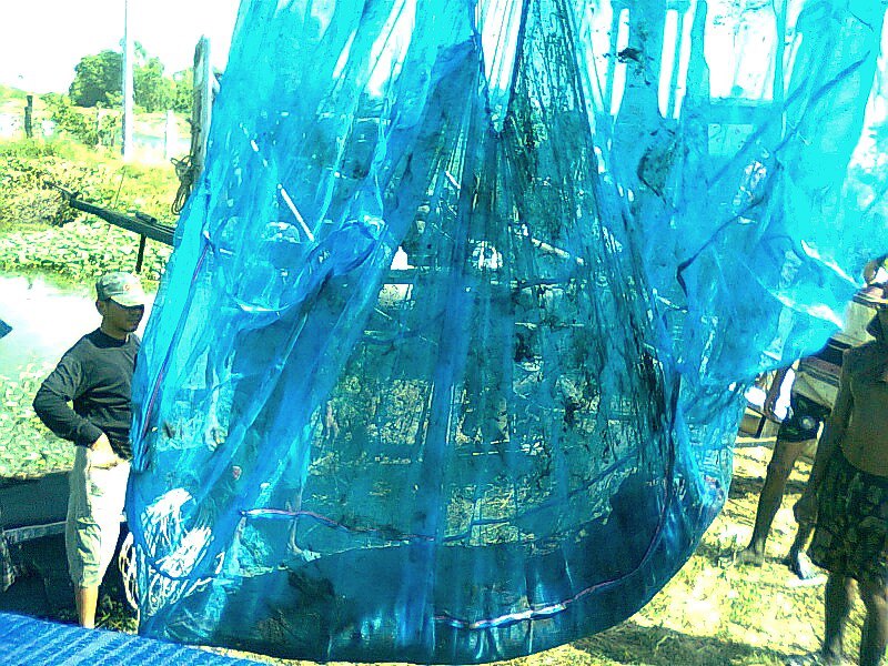 Newsletter January 2013 23 Newsletter January 2013 21