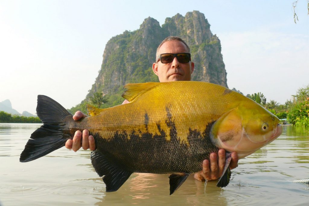 Fishing in Thailand - November 2019 18 Fishing in Thailand - November 2019 18