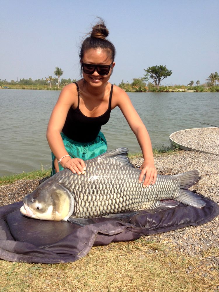 Newsletter January 2013 3 fishing in thailand