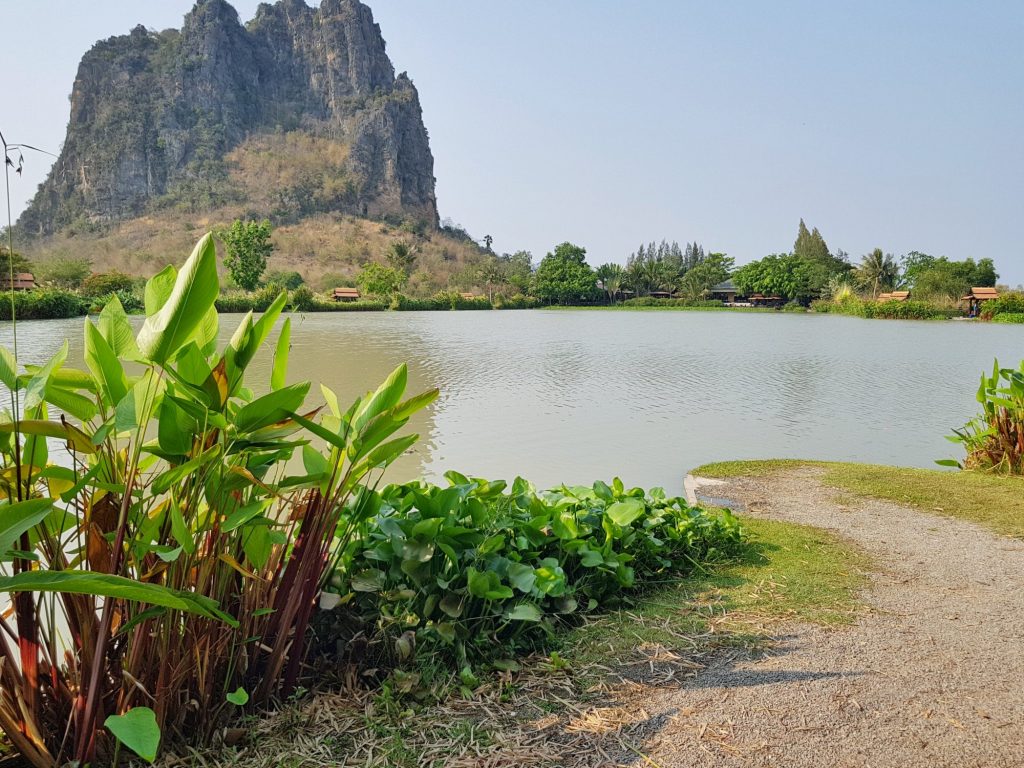 Fishing in Thailand - February 2021 20