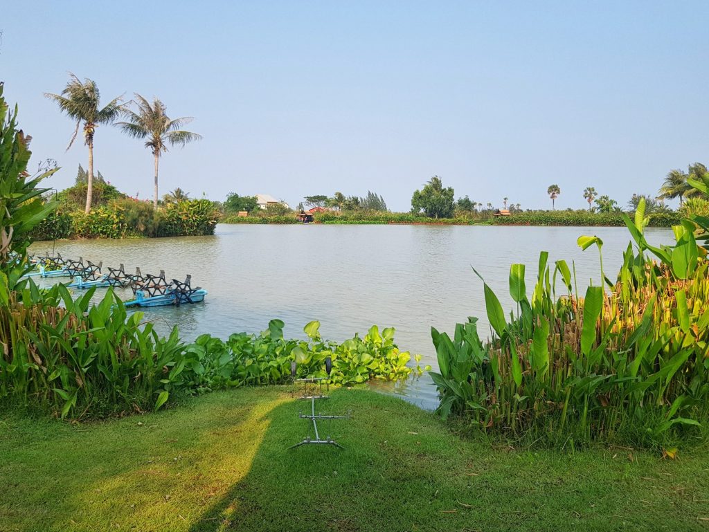 Fishing in Thailand - February 2021 22