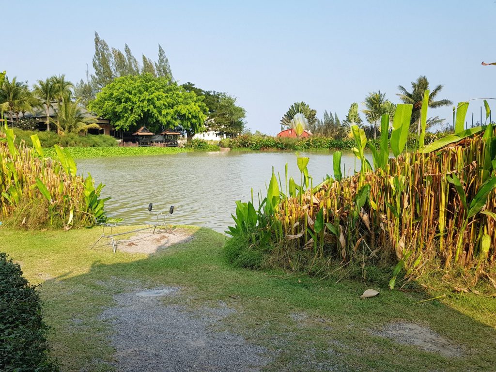 Fishing in Thailand - February 2021 25