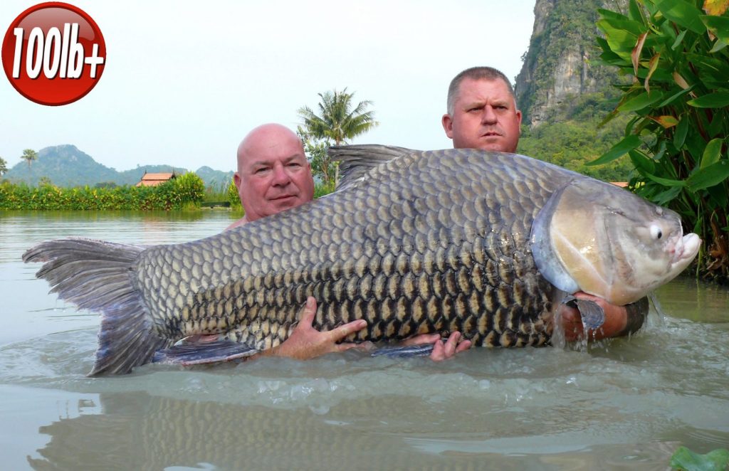 Fishing in Thailand - November 2019 19 Fishing in Thailand - November 2019 19