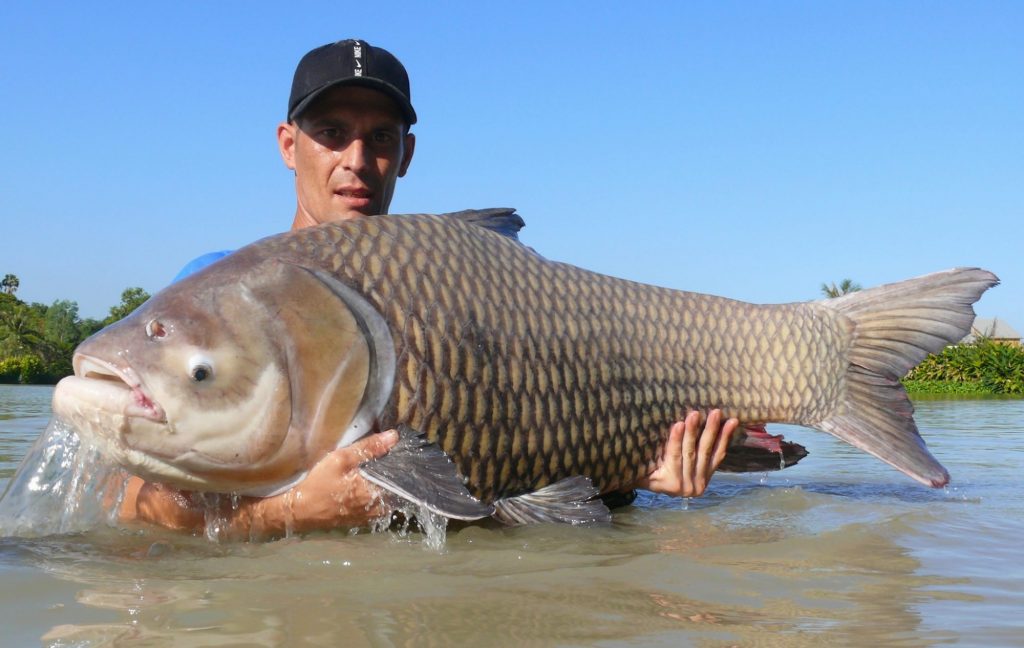 Fishing in Thailand - November 2019 26