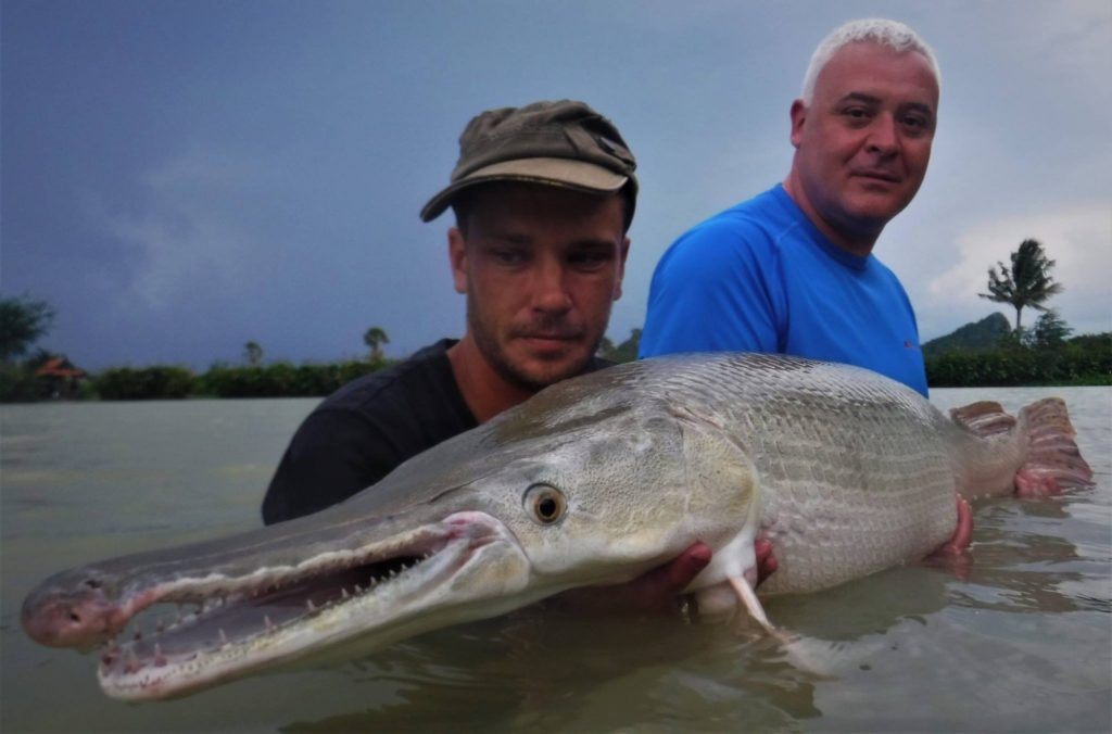 Newsletter September 2017 24 fish in thailand