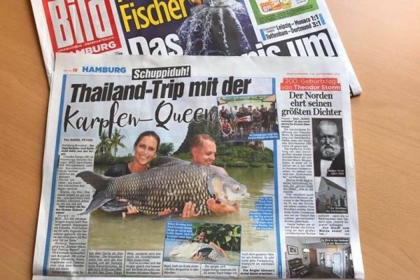 Newsletters 7