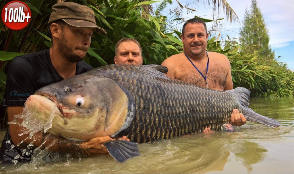 Newsletter October 2017 13 fishing in thailand