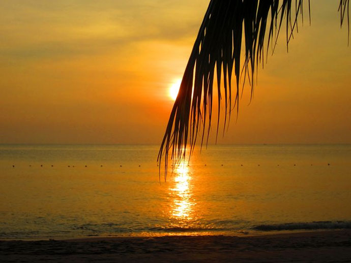 Newsletter December 2017 1 Thailand Fishing Park