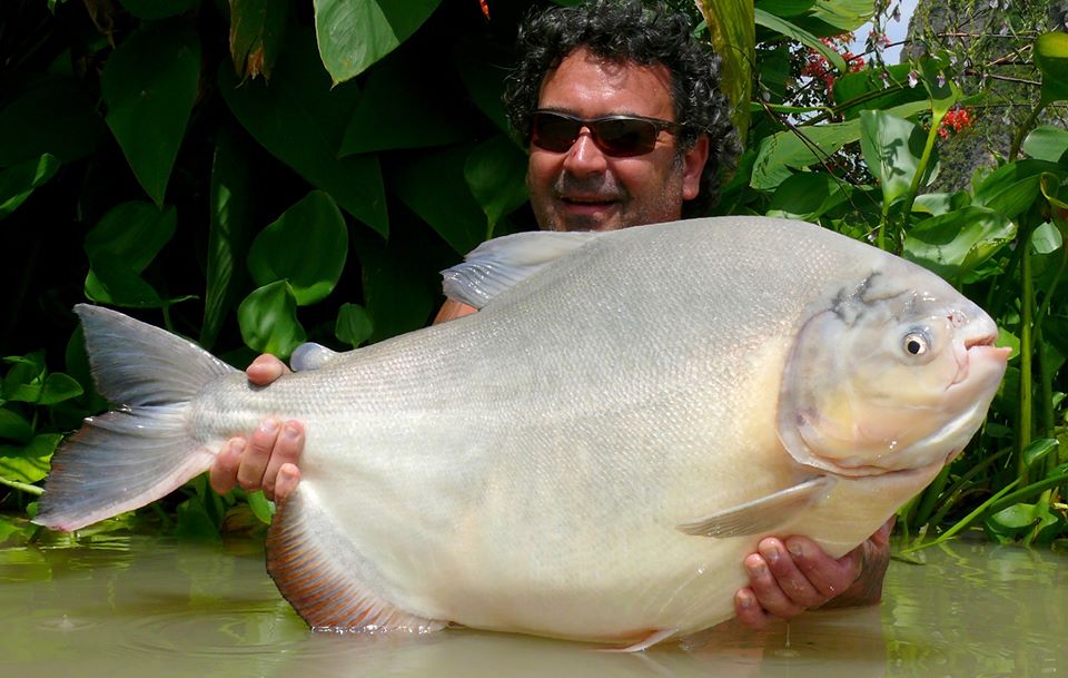 Fishing in Thailand Newsletter - October 2019 11