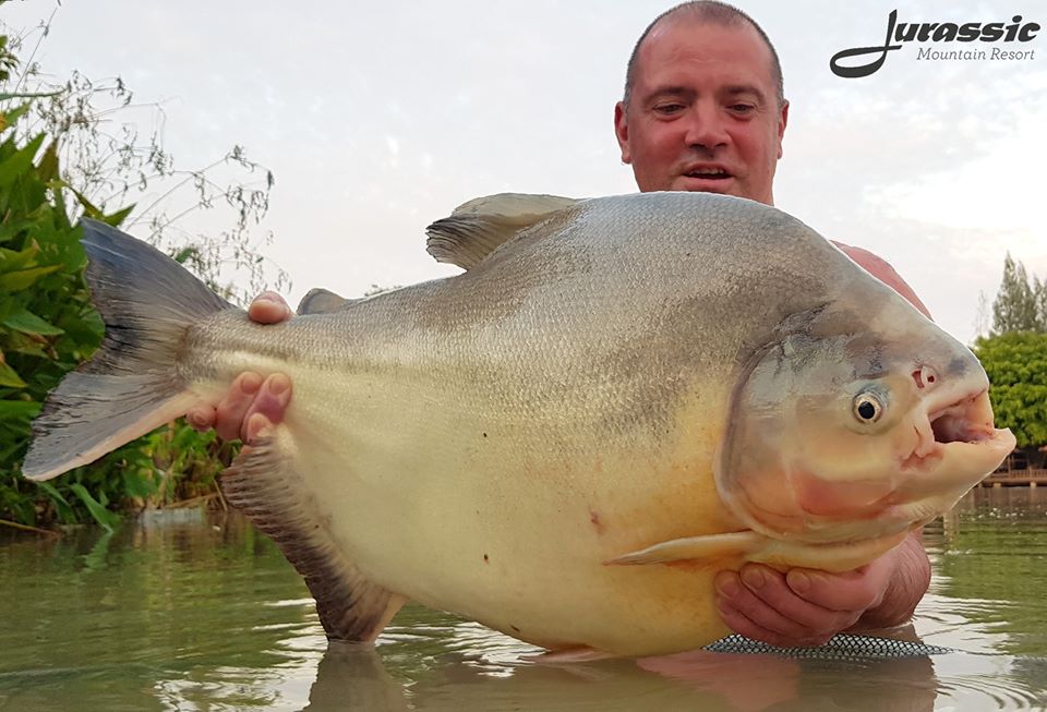 Fishing in Thailand - December 2019 11 Fishing in Thailand - December 2019 11
