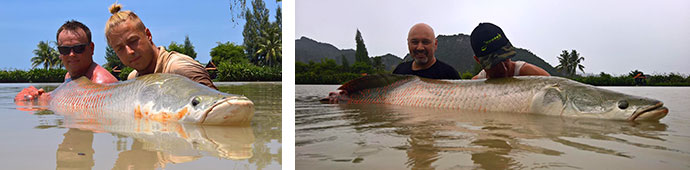 Newsletter June 2018 2 fishing thailand