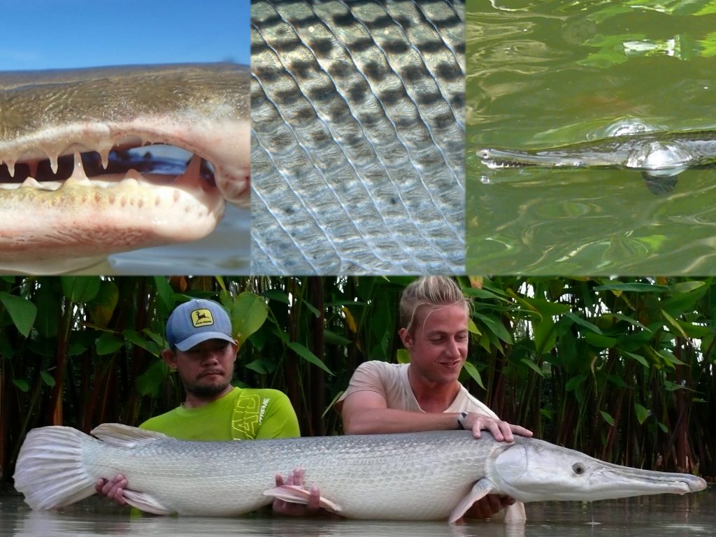 Fishing in Thailand - October 2020 21 Fishing in Thailand - October 2020 21