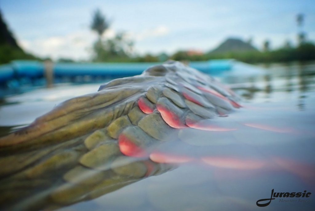 Fishing in Thailand - June 2020 19