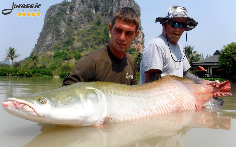 Jurassic produces a massive 350lb+ Giant Mekong Catfish 3 Jurassic produces a massive 350lb+ Giant Mekong Catfish 3