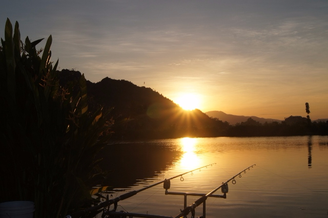 Newsletter December 2015 20