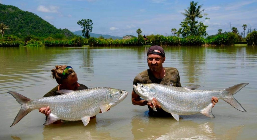 Fishing in Thailand - August 2020 22 Fishing in Thailand - August 2020 22