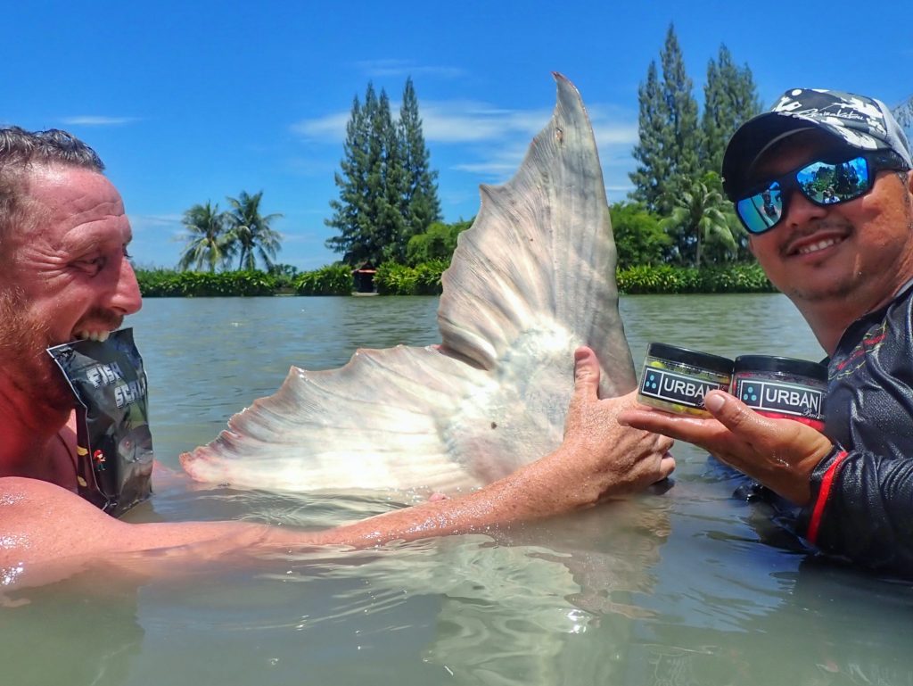 Jurassic produces a massive 350lb+ Giant Mekong Catfish 2 Jurassic produces a massive 350lb+ Giant Mekong Catfish 2
