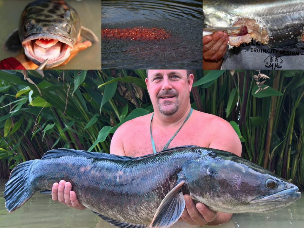 Fishing in Thailand - November 2020 21 Fishing in Thailand - November 2020 21
