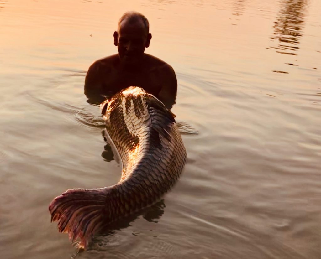 Fishing in Thailand - December 2019 4 Fishing in Thailand - December 2019 4