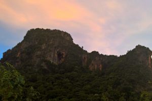 The Bat Cave 11