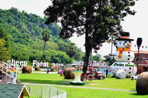 Swiss Sheep Farm 17