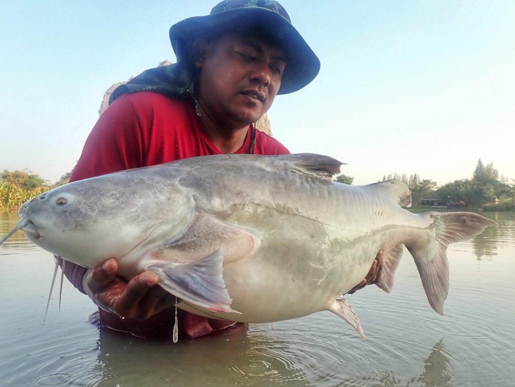 Fishing in Thailand - January 2021 10