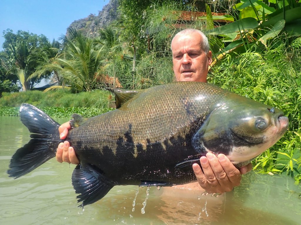 Fishing in Thailand - January 2021 17