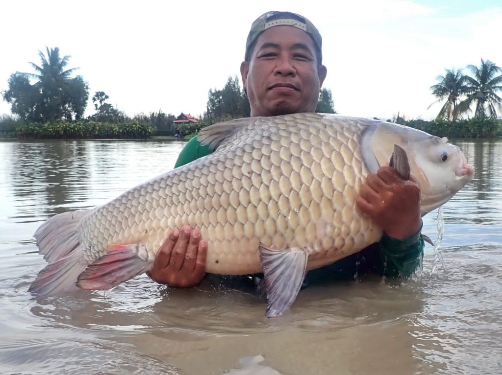 Fishing in Thailand - October 2020 10