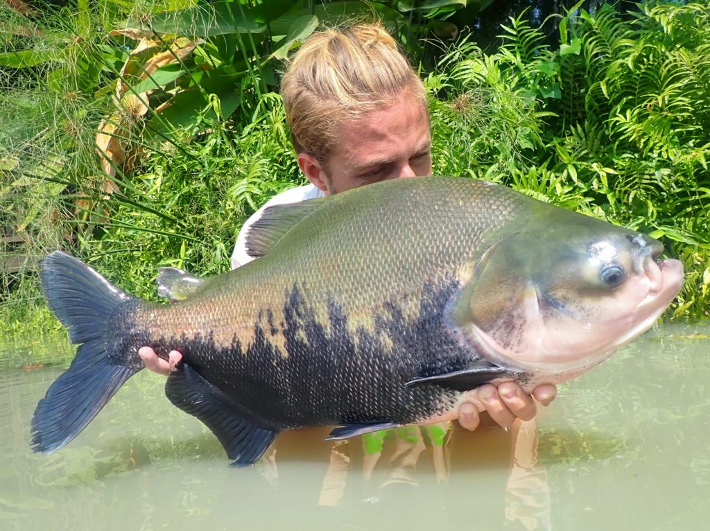 Fishing in Thailand - January 2021 20