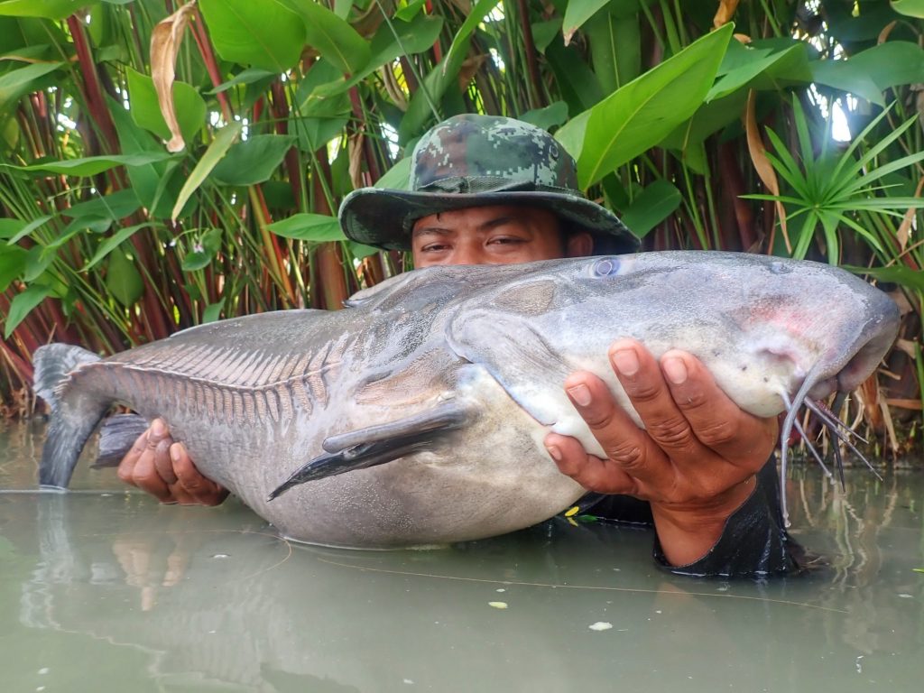 Fishing in Thailand - August 2020 8