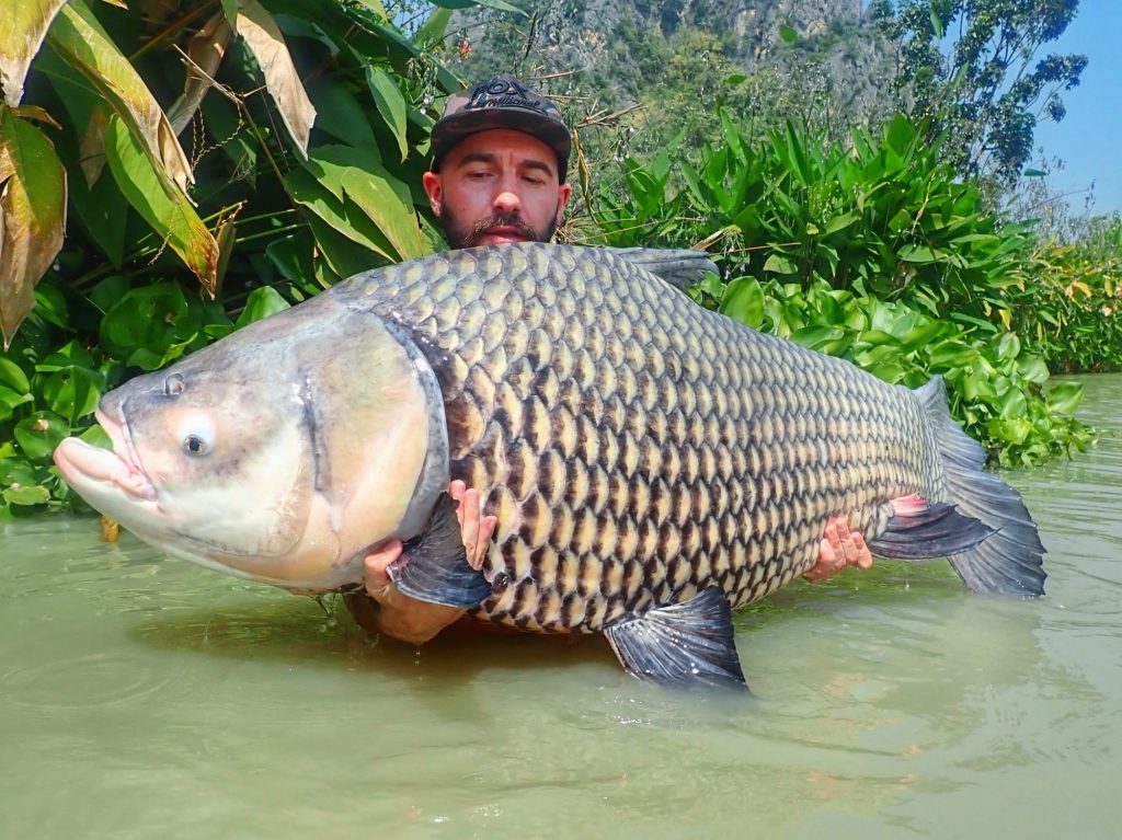 Fishing in Thailand - November 2020 4