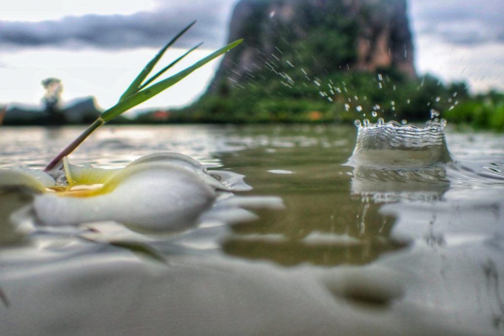 Fishing in Thailand - July 2020 23 Fishing in Thailand - July 2020 21