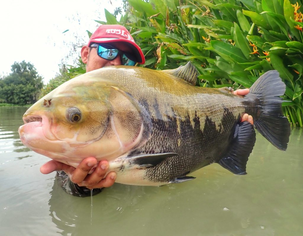 Fishing in Thailand - July 2020 2