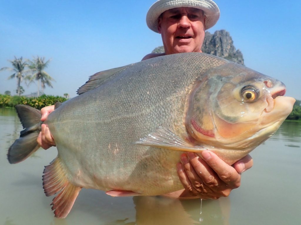 Fishing in Thailand - January 2021 5