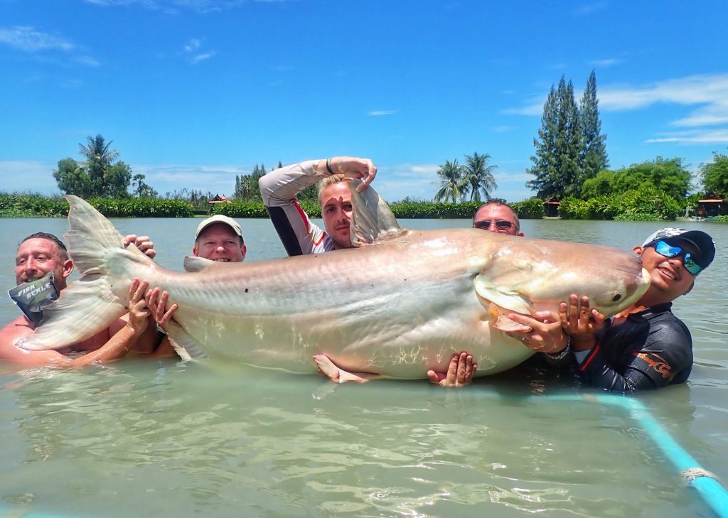 Fishing in Thailand - July 2020 1 Giant Mekong catfish
