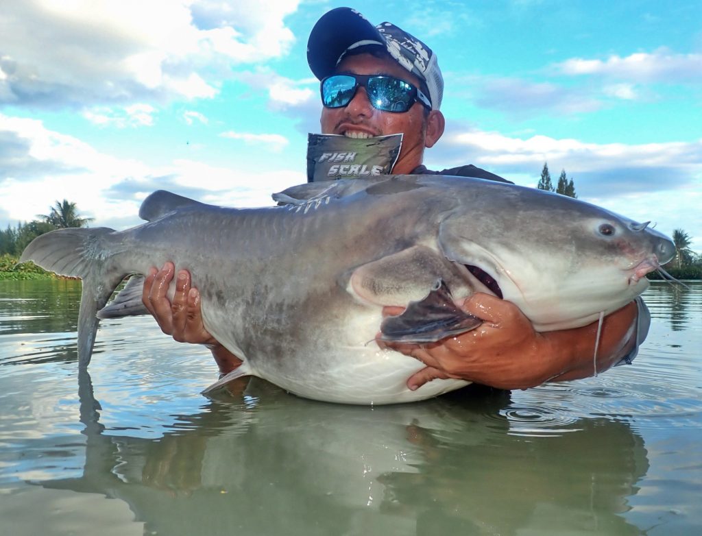 fishing for Salween Rita catfish