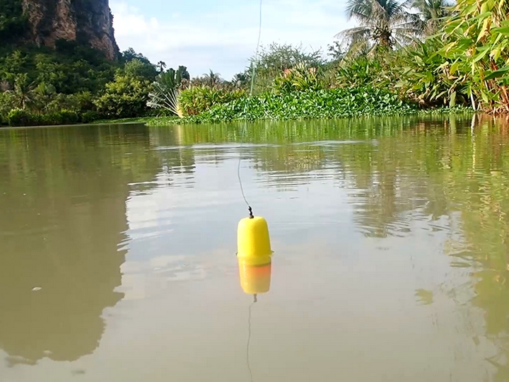 Fishing in Thailand - September 2020 16 Fishing in Thailand - September 2020 16