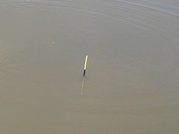 Fishing in Thailand - October 2020 15