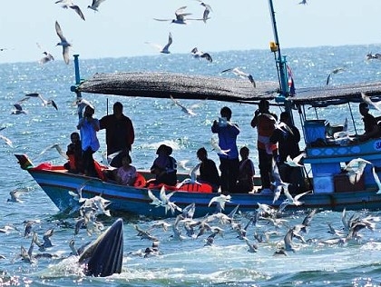 Fishing in Thailand - November 2020 13
